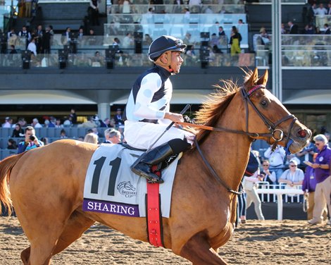 Sharing and Manuel Franco win the Breeders&#39; Cup Juvenile Fillies Turf (G1) on Nov. 1, 2019 Santa Anita in Arcadia, Ca. 