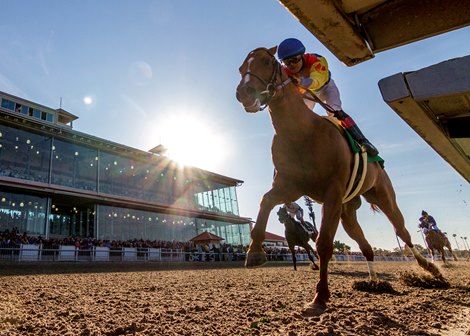 11-28-2019 Bobby&#39;s Wicked One, with Miguel Mena aboard, pulls away in the stretch to capture the 95th running of Thanksgiving Classic on opening day at Fair Grounds.  