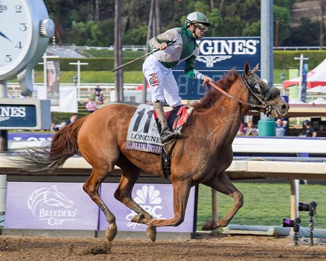 Blue Prize and Joe Bravo win the Breeders&#39; Cup Longines Distaff (G1) on Nov. 2, 2019 Santa Anita in Arcadia, Ca.