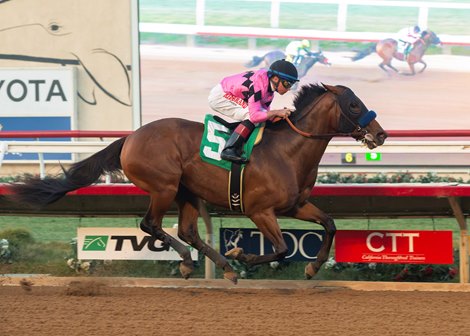 Gary and Mary West&#39;s High Velocity and jockey Drayden Van Dyke win the Grade III, $100,000 Bob Hope Stakes, Saturday, November 16, 2019 at Del Mar Thoroughbred Club, Del Mar CA.<br><br />
&#169; BENOIT PHOTO