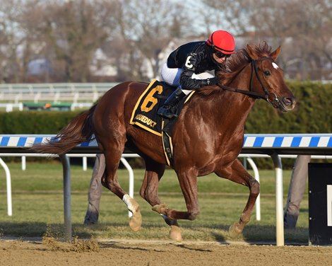 Performer wins the 2019 Discovery at Aqueduct