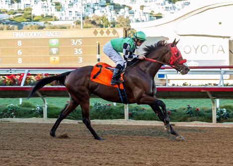Queen Bee to You and jockey Flavien Prat win the $100,000 Betty Grable Stakes, Sunday, November 17, 2019 at Del Mar Thoroughbred Club, Del Mar CA.<br><br />
&#169; BENOIT PHOTO