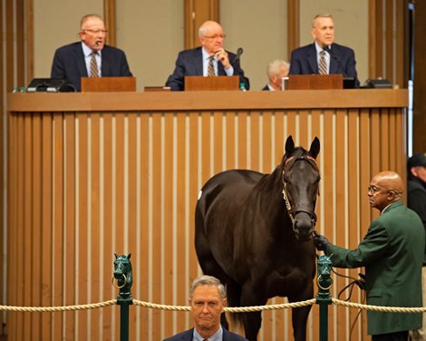 Hip 113 Talk Veuve to Me<br><br />
at  Nov. 6, 2019 Keeneland in Lexington, KY. 