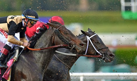 November 2, 2019, Breeders&#39; Cup Saturday Midnight Bisou (red) and La Force, take a lot of &quot;kickback&quot; entering the clubhouse turn, during the Breeders&#39; Cup Distaff...