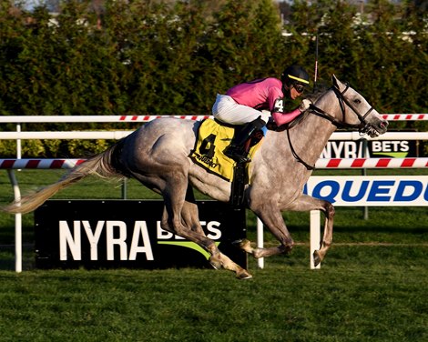 Jack and Noah wins the 2019 Atlantic Beach Stakes at Aqueduct