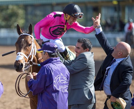 Belvoir Bay with Javier Castellano is congratulated by Trainer Peter Miller after winning the Turf Sprint at the Breeders&#39; Cup at Santa Anita Park on November 2, 2019 in Arcadia, California. 