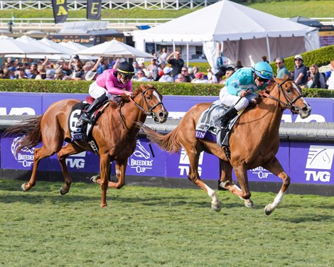 Uni and Joel Rosario win the Breeders&#39; Cup TVG Mile (G1) on Nov. 2, 2019 Santa Anita in Arcadia, Ca. 