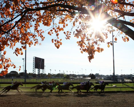 Scenics - Churchill Downs - 111019