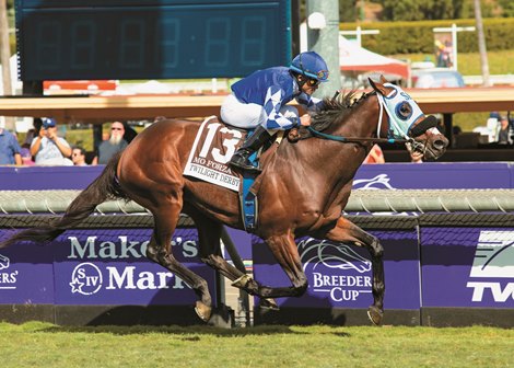 Mo Forza, Joel Rosario, Qatar Twilight Derby, G2T, Santa Anita Park, November, 2, 2019