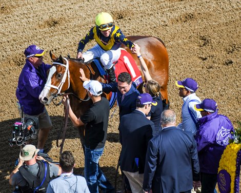 Covfefe and Joel Rosario win the Breeders&#39; Cup Filly and Mare Sprint (G1) on Nov. 2, 2019 Santa Anita in Arcadia, Ca. 