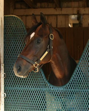 Seeking the Soul - Churchill Downs