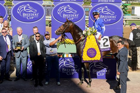 Structor and Jose Ortiz win the Breeders' Cup Juvenile Turf presented by Coolmore America (G1) on Nov. 1, 2019 Santa Anita in Arcadia, Ca. 