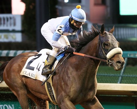 Tom&#39;s d&#39;Etat wins the 2019 Clark at Churchill Downs