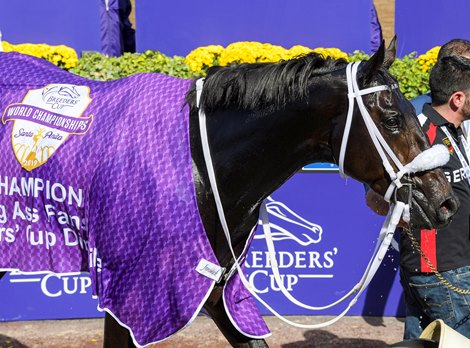 Spun to Run and Irad Ortiz, Jr. win the Breeders&#39; Cup Big Ass Fans Dirt Mile  (G1) on Nov. 2, 2019 Santa Anita in Arcadia, Ca. 