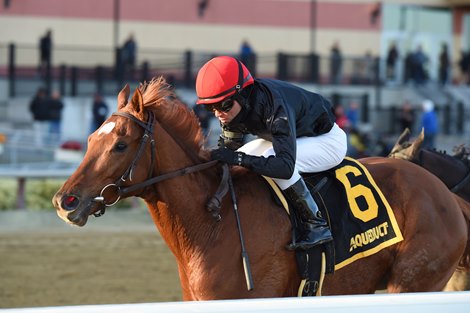 Performer wins the 2019 Discovery at Aqueduct                        