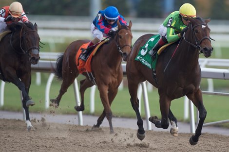 Jockey Pablo Morales guides New York Groove to victory in the 2019 Glorious Song Stakes for owner Commenwealth New Era Racing and trainer Michael J. Trombetta