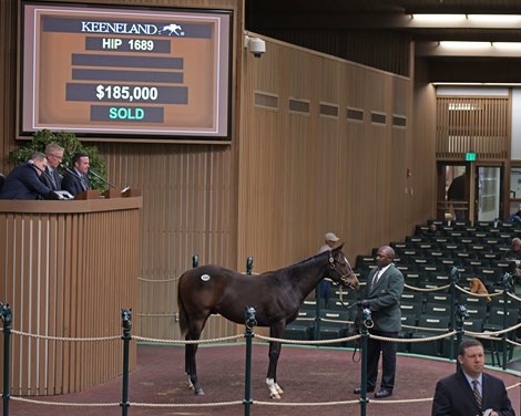 Hip 1689 colt by Street Sense from Take a Memo on Nov. 16, 2017 Keeneland in Lexington, KY. 