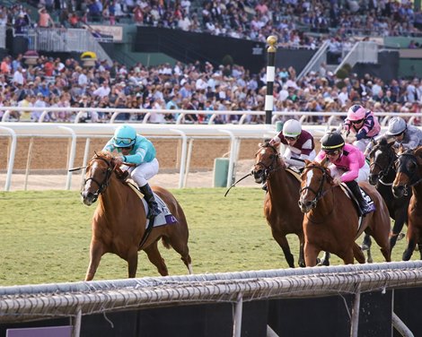 Uni and Joel Rosario win the Breeders&#39; Cup TVG Mile (G1) on Nov. 2, 2019 Santa Anita in Arcadia, Ca.