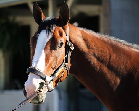 Covfefe - Morning - Churchill Downs - 110319