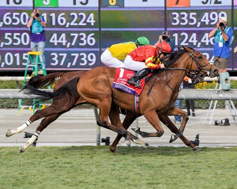 Iridessa and Wayne Lordan win the Breeders&#39; Cup Maker&#39;s Mark Filly and Mare Turf (G1) on Nov. 2, 2019 Santa Anita in Arcadia, Ca. 