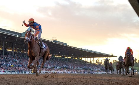 Vino Rosso with jockey Irad Ortiz Jr. wins the Breeders' Cup Longines Classic (G1) at Santa Anita Park Saturday Nov. 2, 2019
