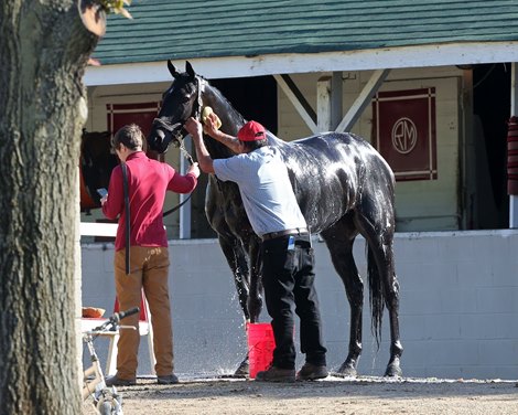 Scenics - Churchill Downs - 111019