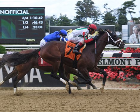 Alpha Sixty Six - Maiden Win, Belmont Park, September 7, 2019