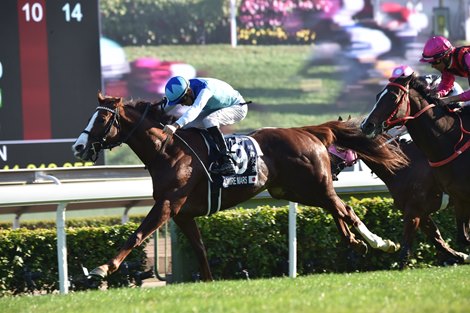 Admire Mars ridden by Christophe Soumillon wins the 2019 Hong Kong Mile