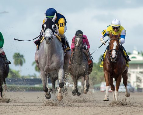 Jean Elizabeth wins 2019 Abundantia Stakes at Gulfstream Park