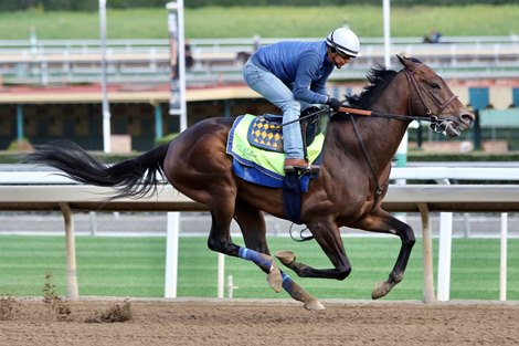 McKinzie - Morning - Santa Anita - 122219