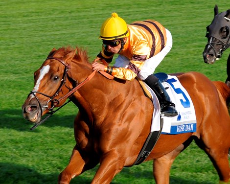 Wise Dan wins the 2012 Shadwell Turf Mile