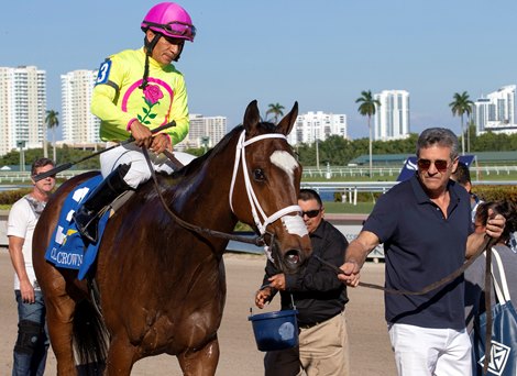 Shekky Shebaz wins the 2019 Claiming Crown Canterbury at Gulfstream Park
