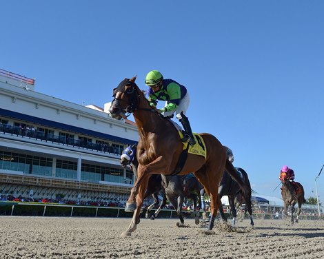 Royal Squeeze wins the 2019 Claiming Crown Rapid Transit