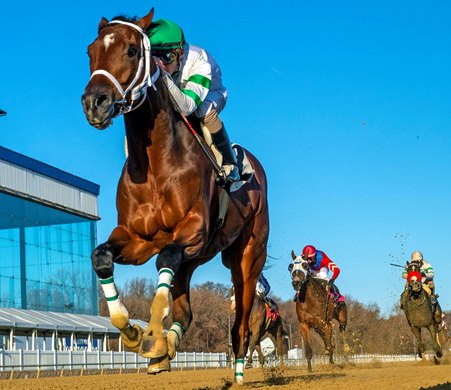 Laddie Liam wins the 2019 Maryland Juvenile Futurity