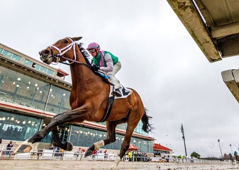 12-21-2019  Taraz, with Florent Geroux aboard, wins the 60th running of the Letellier Memorial Stakes at the Fair Grounds in New Orleans, LA.  Hodges Photography / Amanda Hodges Weir