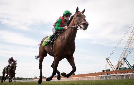 Urban Fox and Danny Tudhope win the Juddmonte Pretty Polly Stakes (G1) at the Curragh