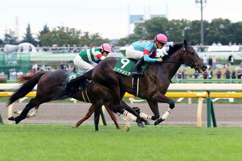 Ria Amelia wins the 2019 Artemis Stakes at Tokyo Racecourse