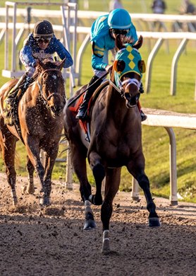12-13-2019  Chimney Rock, with Florent Geroux aboard, wins the 29th running of Louisiana Champions Day Juvenile.  