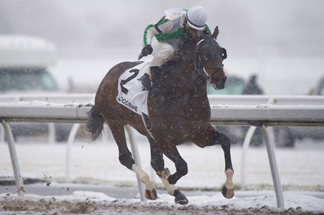 Jockey Patrick Husbands guides Vanzzy to victory in the 2019 Display Stakes at Woodbine for owner Smart Angle LLP and trainer Michael V. Pino. Vanzzy covered the 1Mi.1/6 in a time 1.45.4