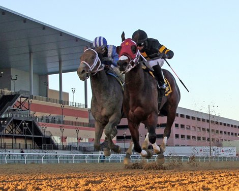 Shotski (#6) with Luis Saez win the 106th Running of the Remsen (GII) at Aqueduct on December 7, 2019 over Ajaaweed with Joel Rosario