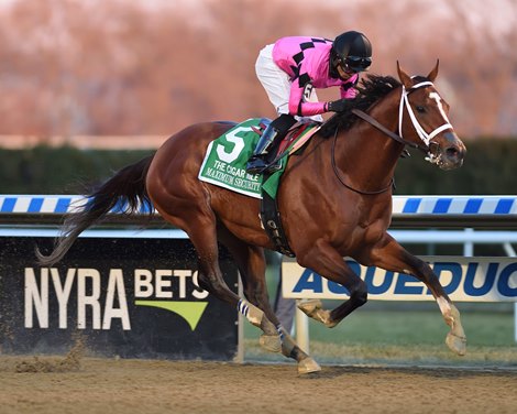 Maximum Security, Luis Saez, Cigar Mile Handicap, G1, Aqueduct Racetrack, December, 7, 2019