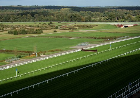 Champions day at Ascot will use the hurdle course for the 3 longer distance races 16.10.19