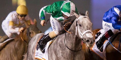 Drafted wins the 2018 Garhoud Sprint