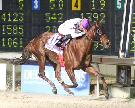 Dale&#39;s Lil Sis wins 2019 Lookout Stakes at Delta Downs