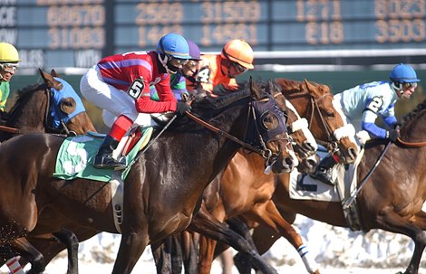 Winter racing at Aqueduct Racetrack