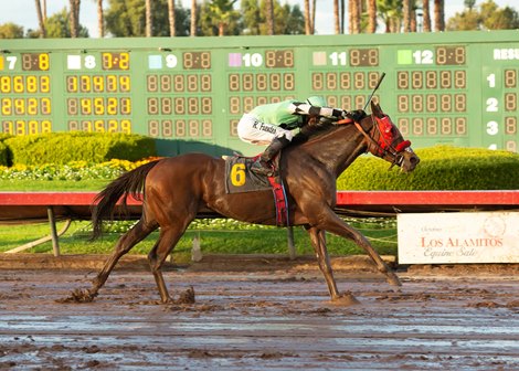 Queen Bee to You wins the 2019 Bayakoa Stakes at Los Alamitos