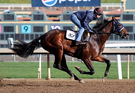 Storm the Court works with Flavien Prat aboard, Santa Anita Park, CA 1.5.2020.