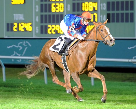 Winning Envelope wins 2020 Jersey Lilly Turf Stakes at Sam Houston