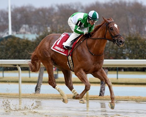 Mr. Buff wins the 2020 Jazil Stakes at Aqueduct                       