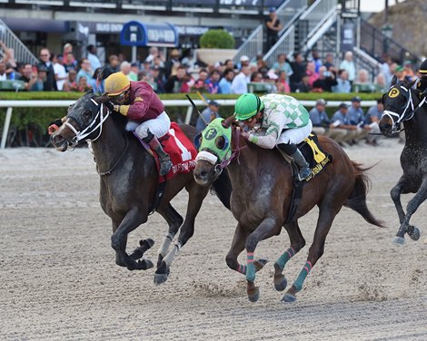 Noble Drama wins the 2020 Sunshine Millions Classic at Gulfstream Park                